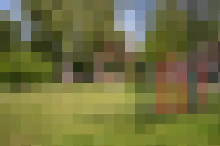 Dr. Kuyperstraat 3 a Ridderkerk thumbnail 54
