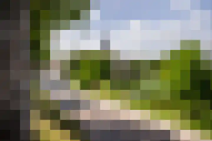 Dr. Kuyperstraat 3 a Ridderkerk thumbnail 55