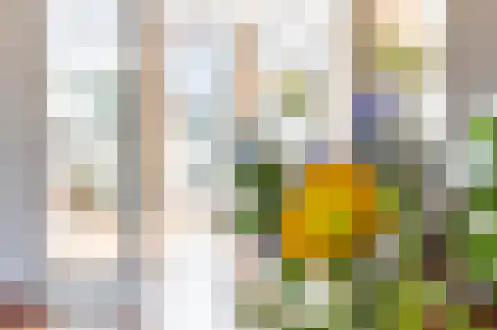 Dr. Kuyperstraat 33 Tiel thumbnail 11