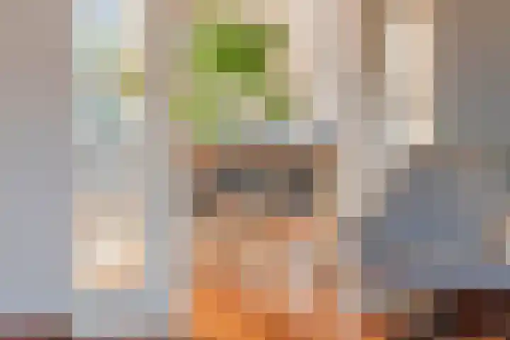 Dr. Kuyperstraat 33 Tiel thumbnail 16