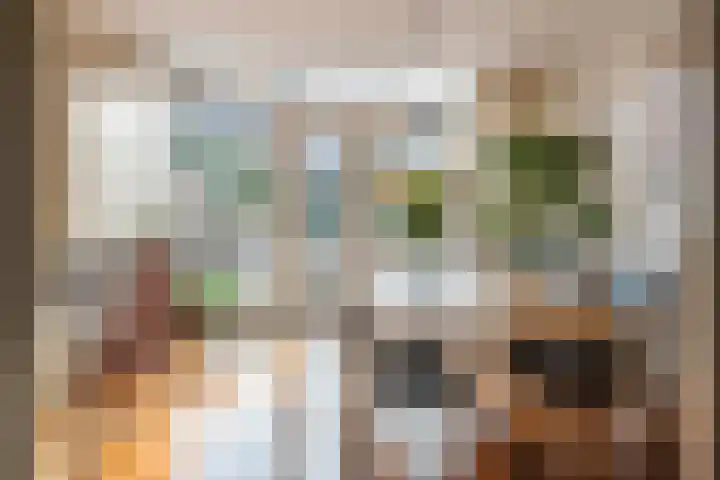Dr. Kuyperstraat 33 Tiel thumbnail 17