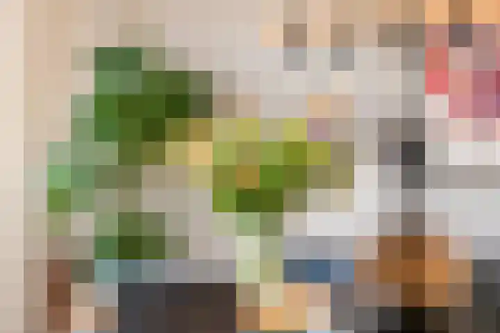 Dr. Kuyperstraat 33 Tiel thumbnail 18
