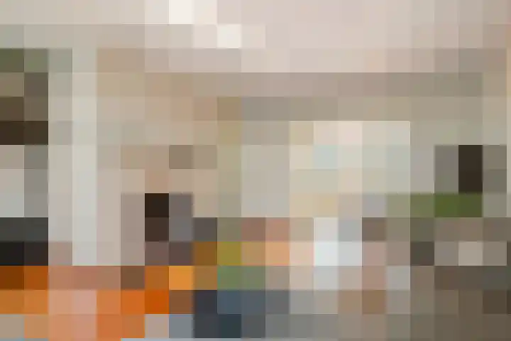 Dr. Kuyperstraat 33 Tiel foto 2