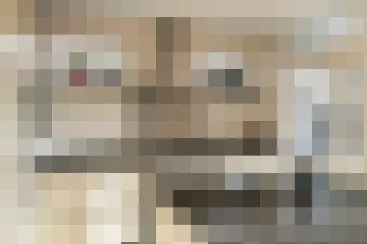 Dr. Kuyperstraat 33 Tiel thumbnail 25
