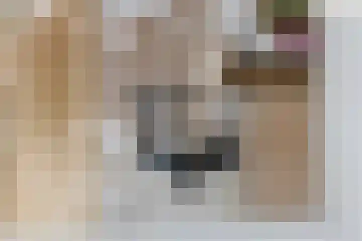 Dr. Kuyperstraat 33 Tiel thumbnail 26