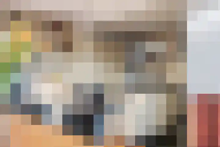 Dr. Kuyperstraat 33 Tiel thumbnail 27