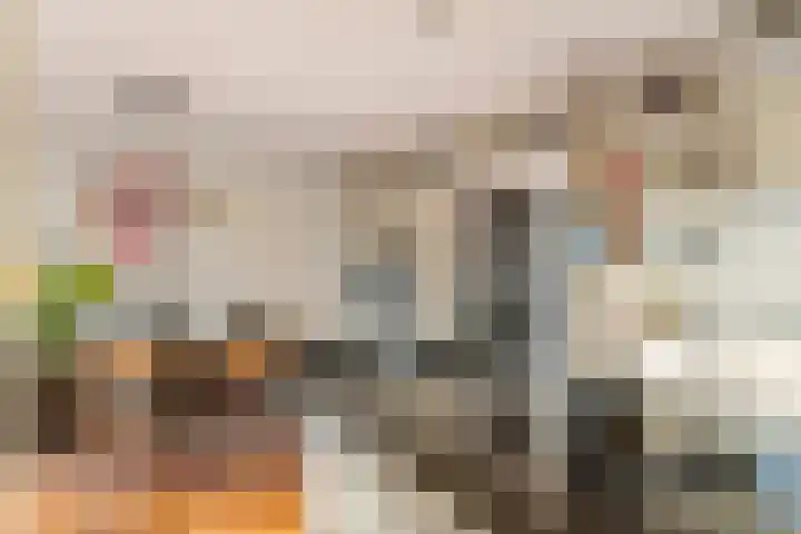 Dr. Kuyperstraat 33 Tiel thumbnail 29