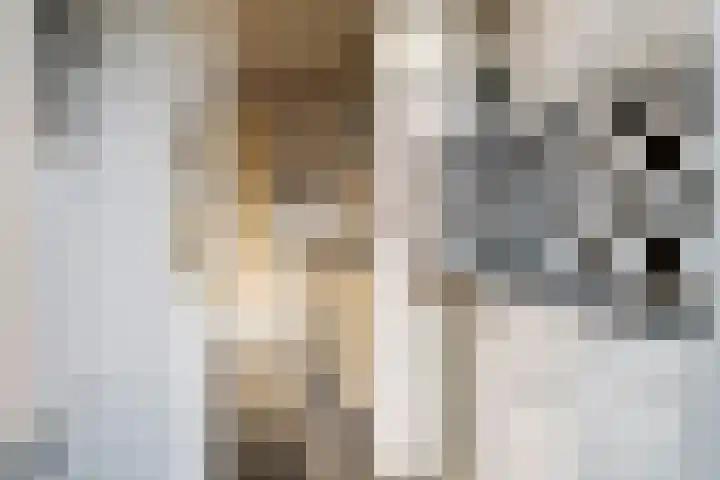 Dr. Kuyperstraat 33 Tiel thumbnail 31