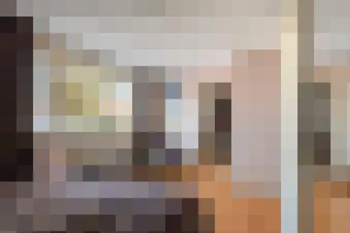 Dr. Kuyperstraat 33 Tiel thumbnail 34