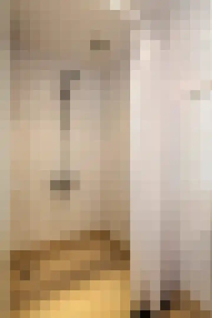 Dr. Kuyperstraat 33 Tiel thumbnail 35