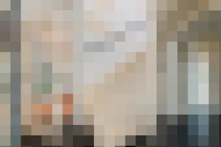 Dr. Kuyperstraat 33 Tiel thumbnail 4