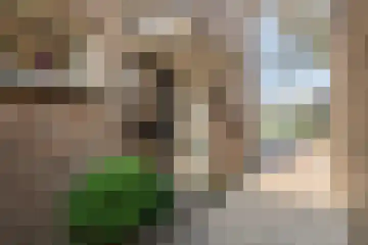 Dr. Kuyperstraat 33 Tiel thumbnail 55