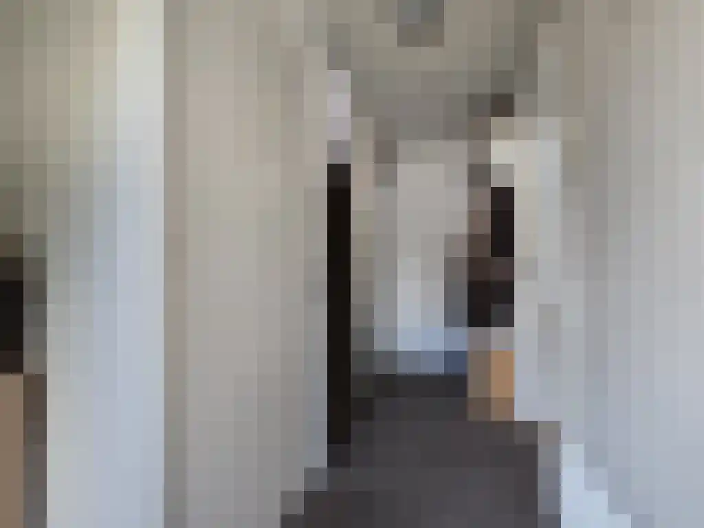 Dr. Kuyperstraat 35 Zutphen thumbnail 5