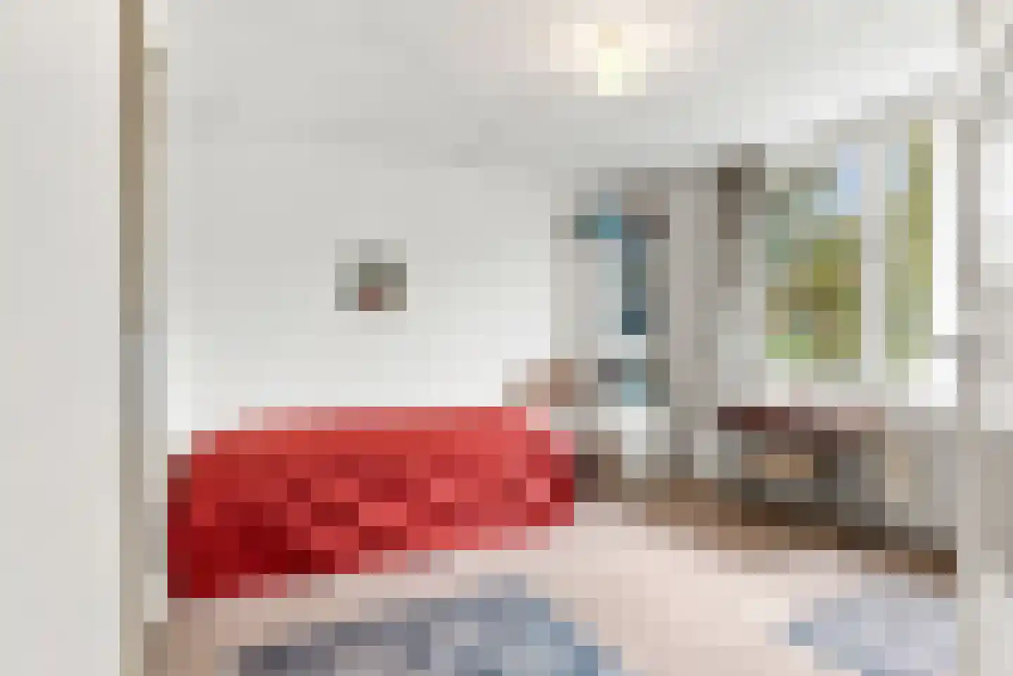 Dr. Kuyperstraat 6 Tiel thumbnail 13