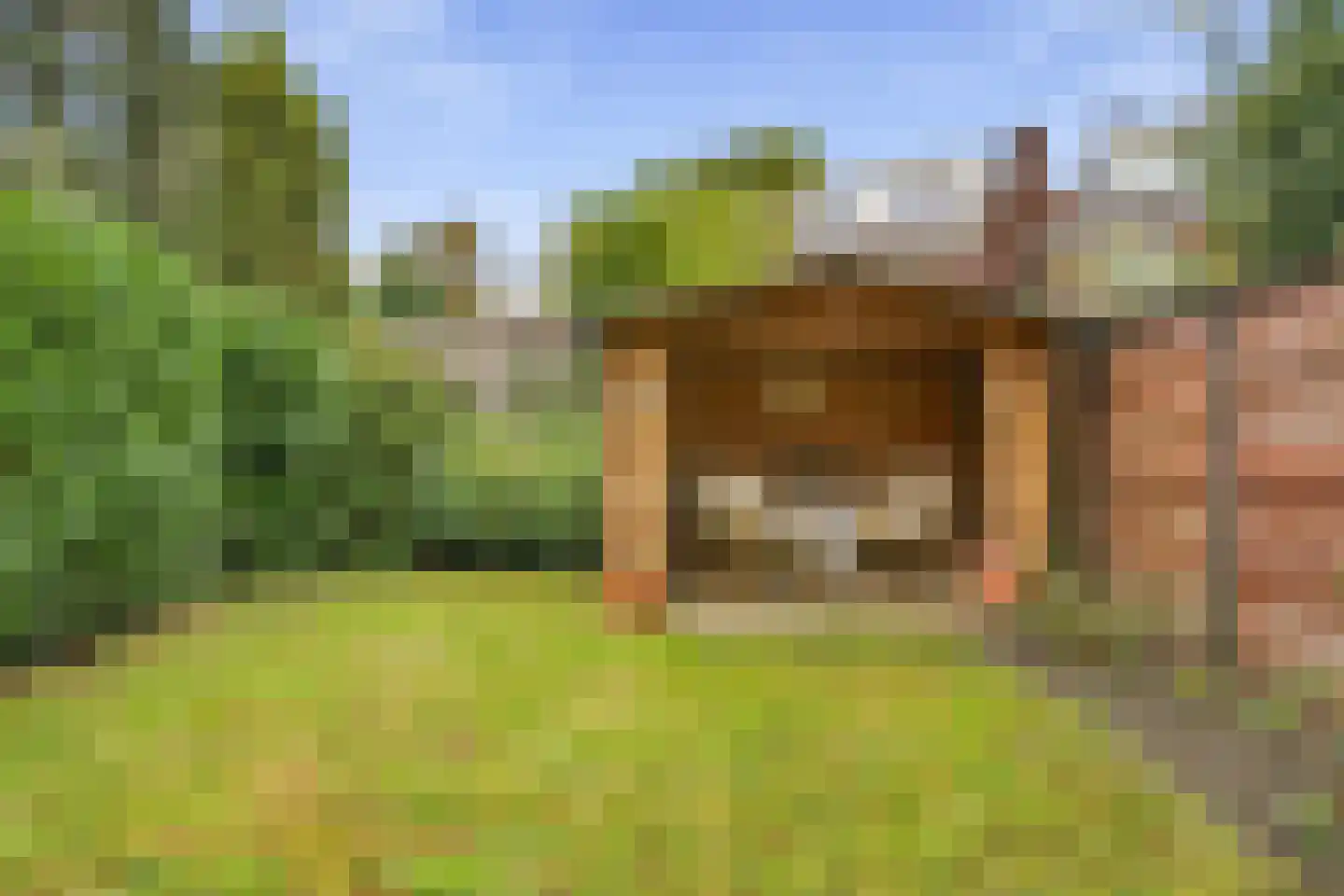 Dr. Kuyperstraat 6 Tiel thumbnail 24