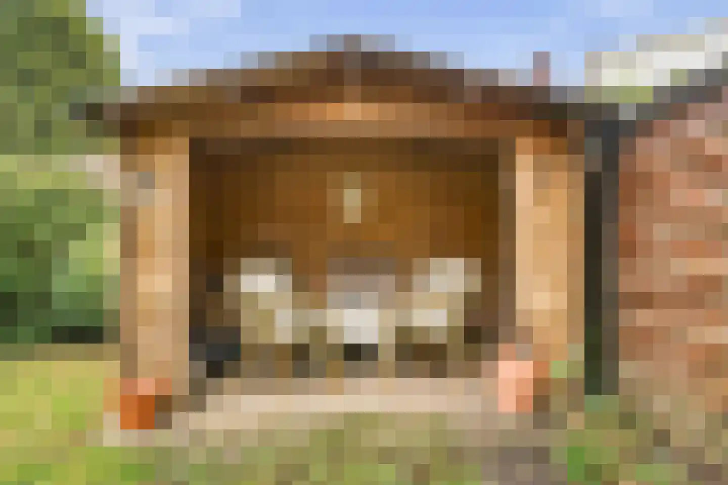 Dr. Kuyperstraat 6 Tiel thumbnail 25