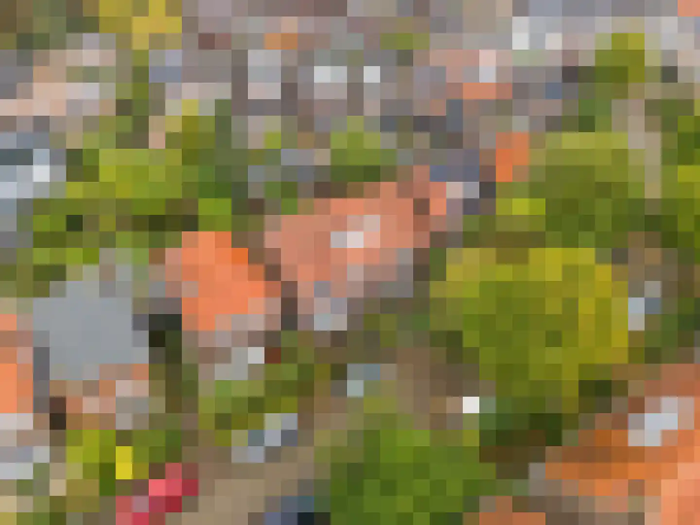 Dr. Kuyperstraat 6 Tiel thumbnail 26