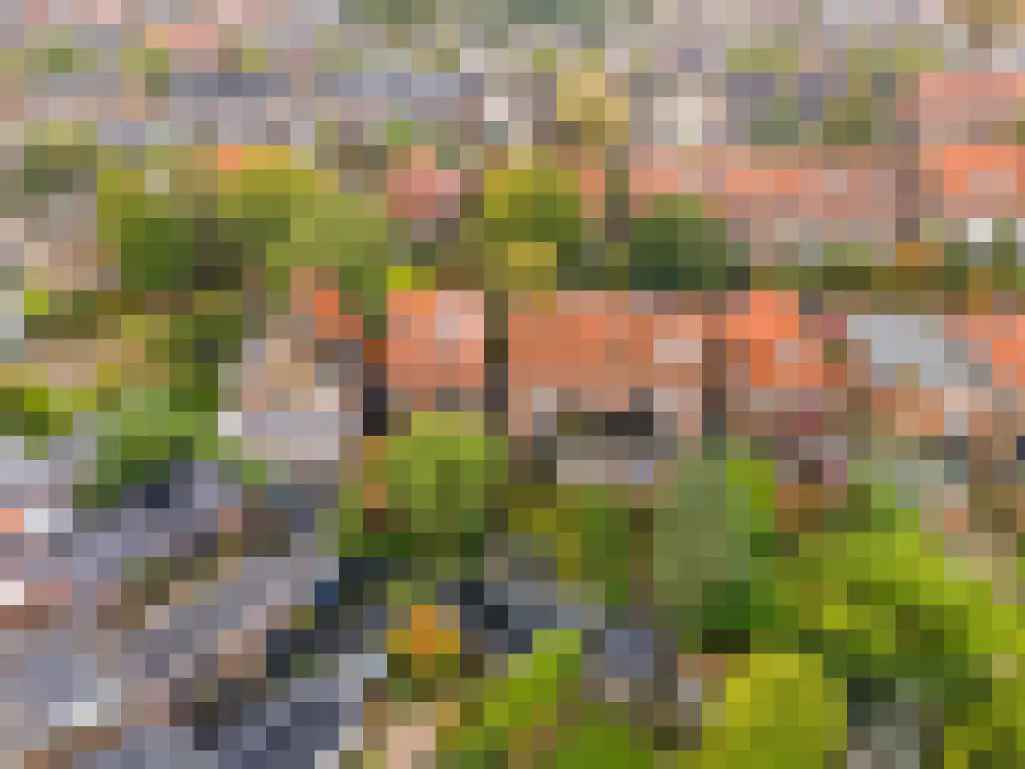 Dr. Kuyperstraat 6 Tiel thumbnail 27