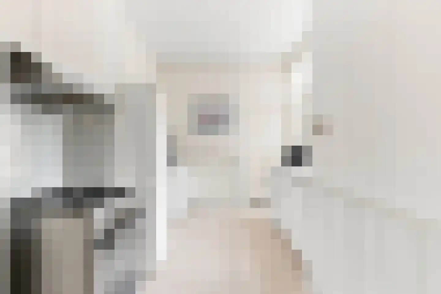 Dr. Kuyperstraat 6 Tiel thumbnail 4