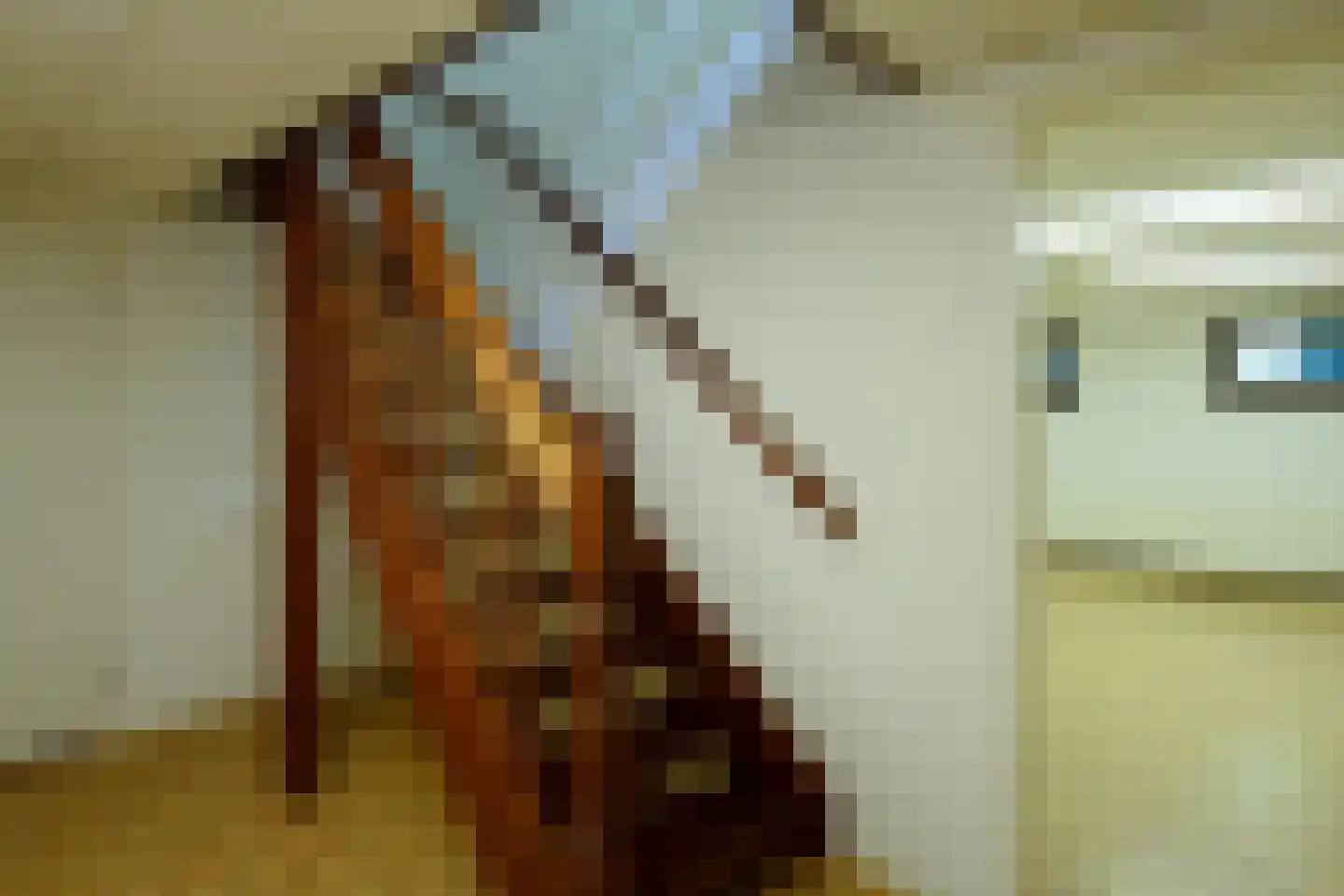 Dr L E van Hoornlaan 16 Garderen thumbnail 22