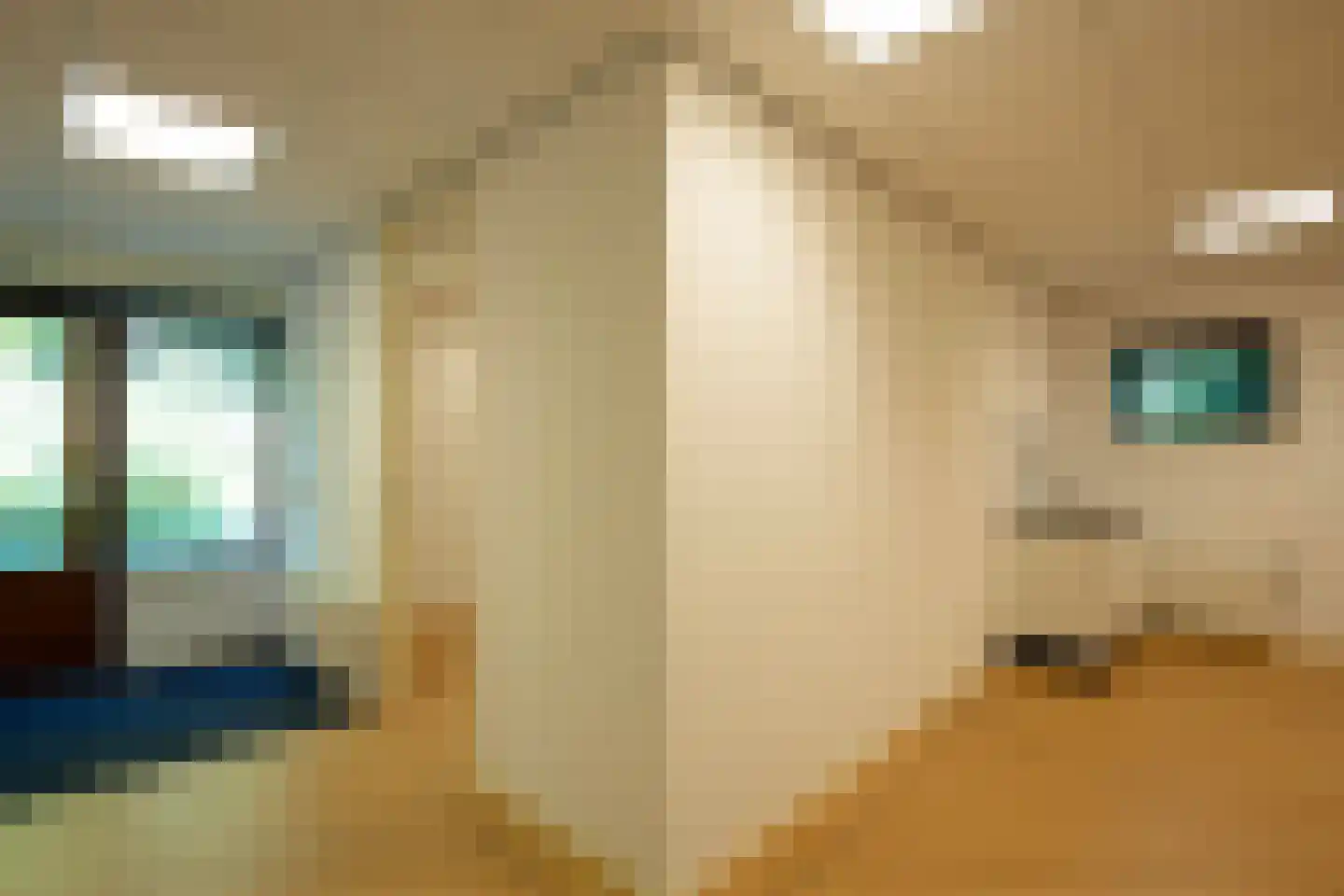 Dr L E van Hoornlaan 16 Garderen thumbnail 25