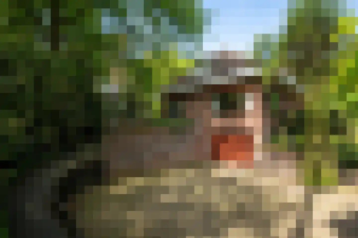 Dr L E van Hoornlaan 16 Garderen thumbnail 27