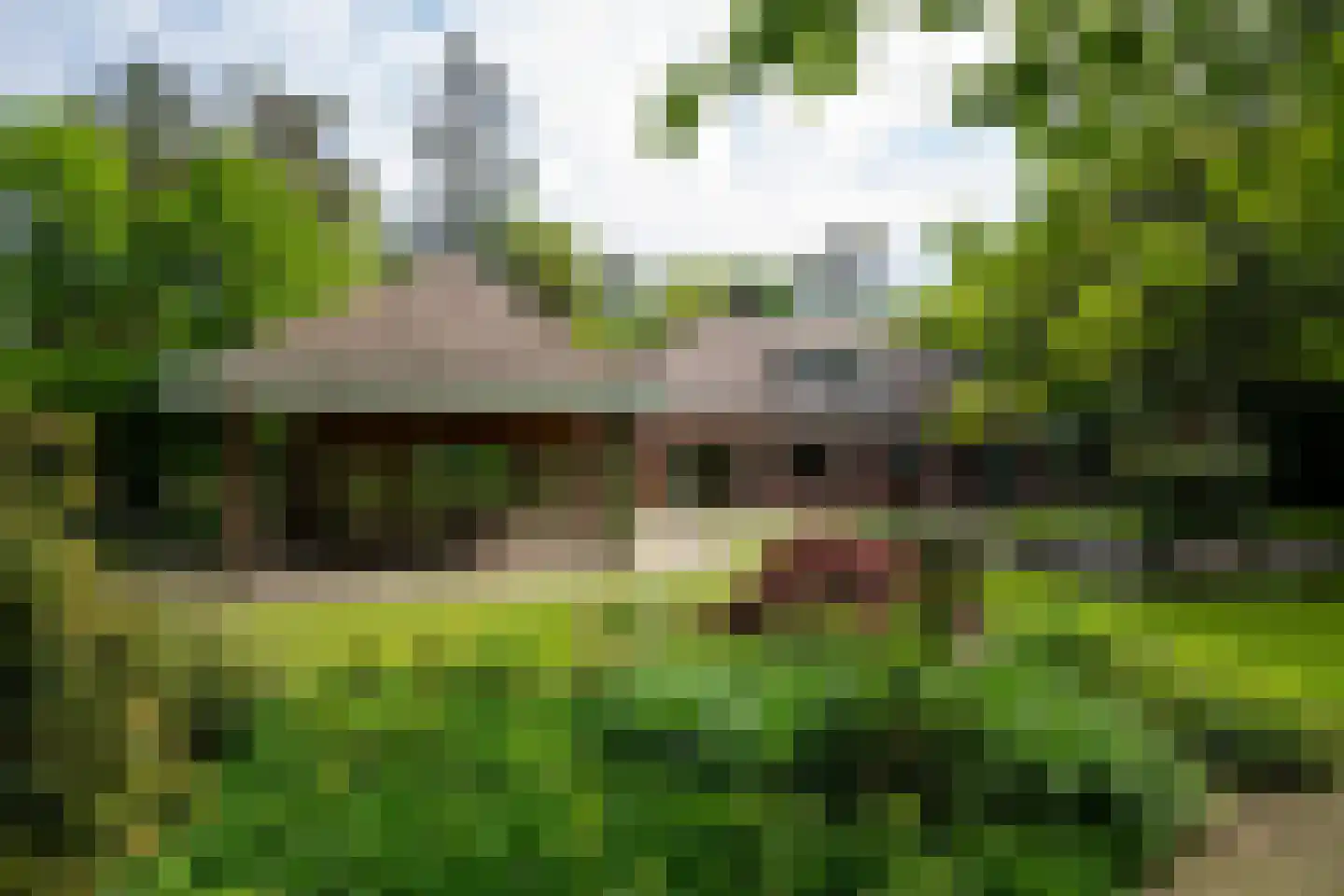 Dr L E van Hoornlaan 16 Garderen thumbnail 29