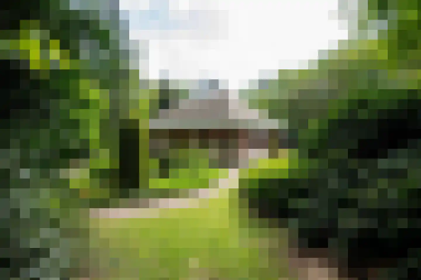 Dr L E van Hoornlaan 16 Garderen thumbnail 32