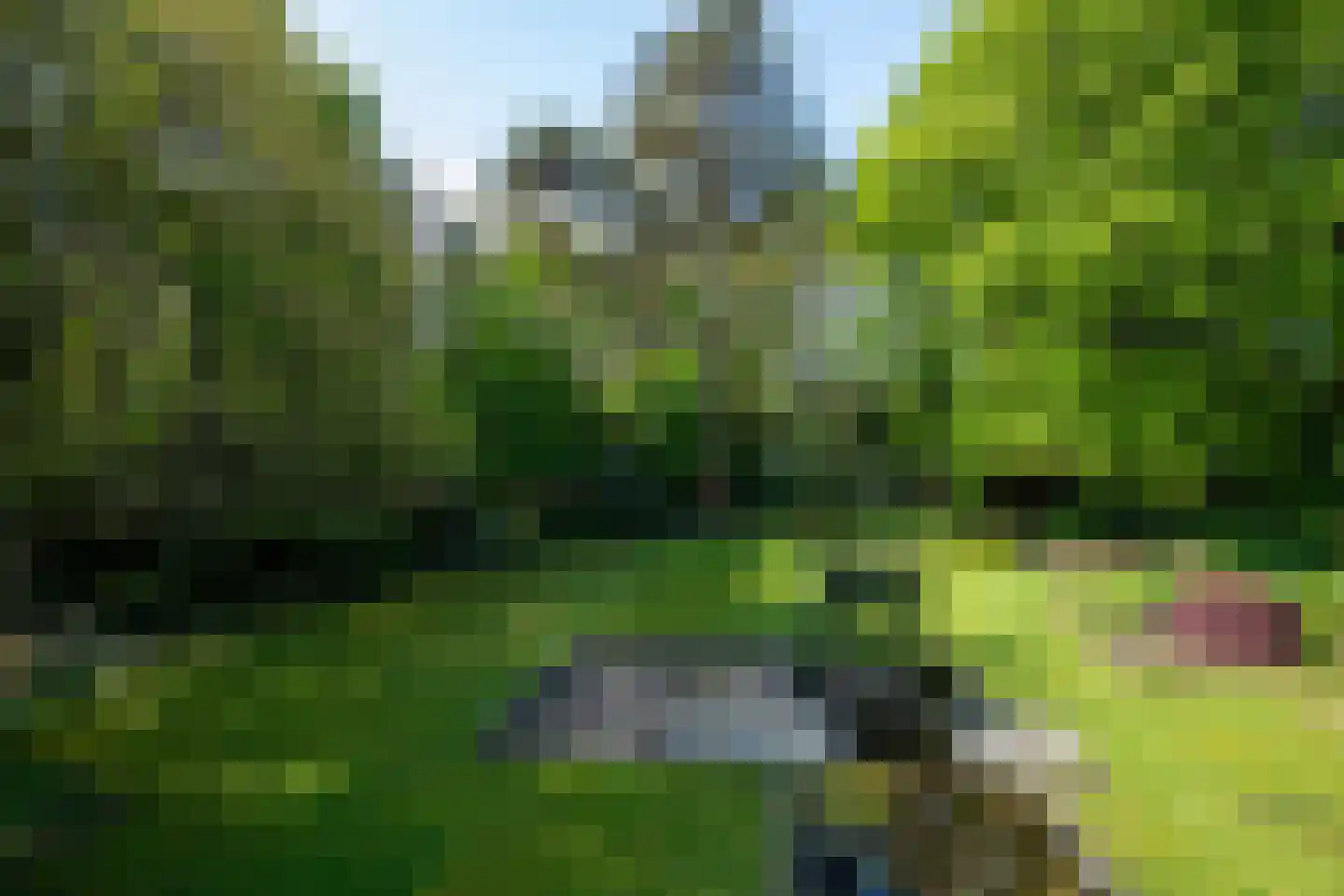Dr L E van Hoornlaan 16 Garderen thumbnail 33