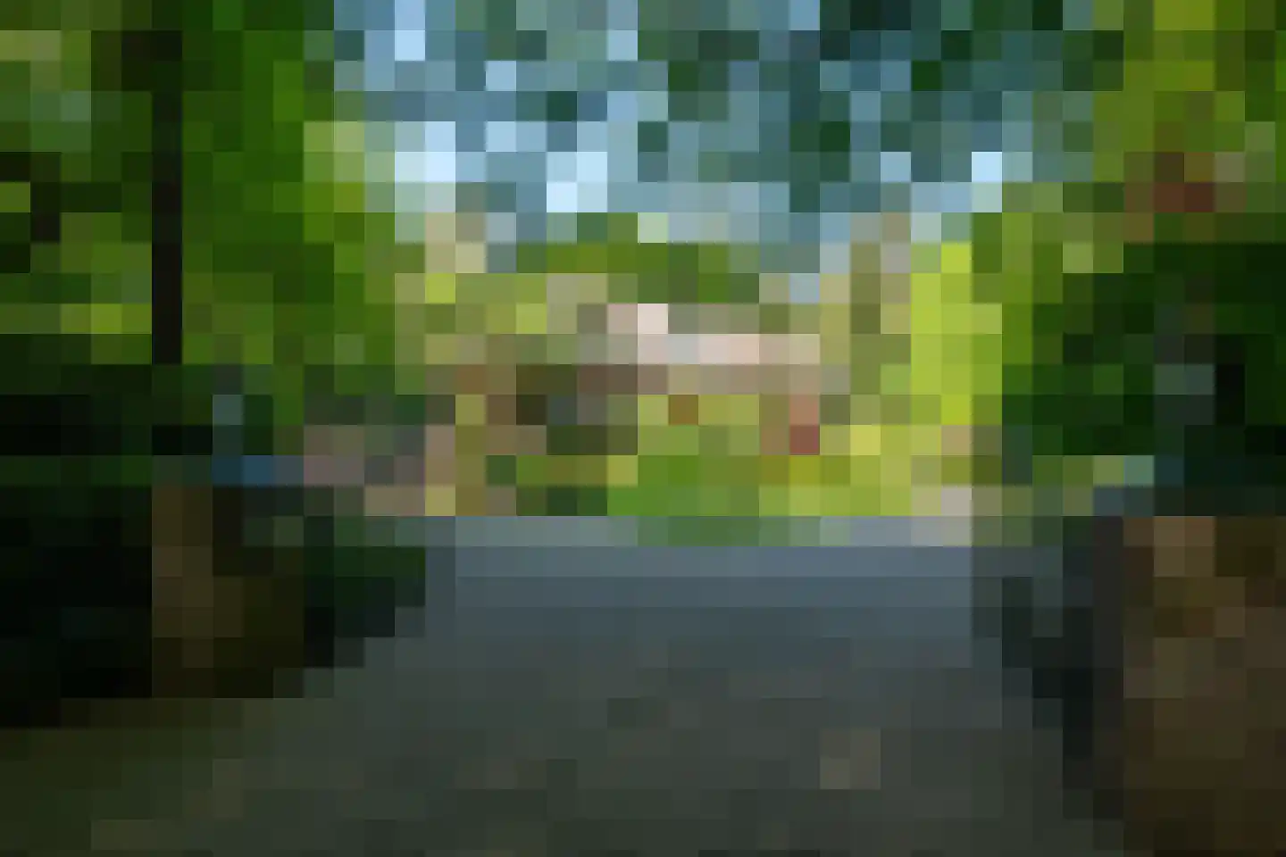 Dr L E van Hoornlaan 16 Garderen thumbnail 34