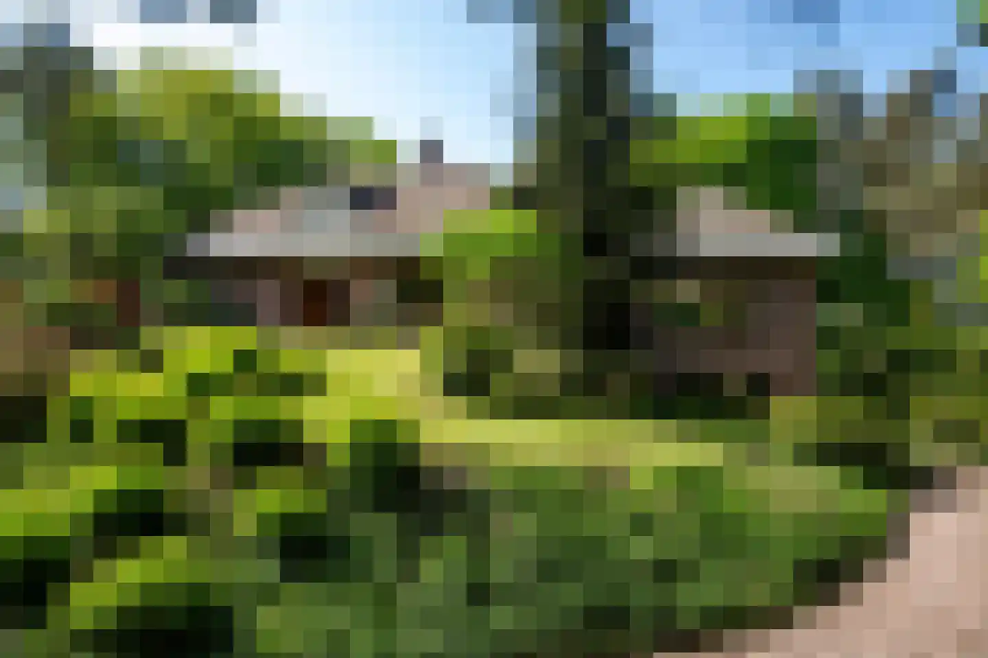 Dr L E van Hoornlaan 16 Garderen thumbnail 4