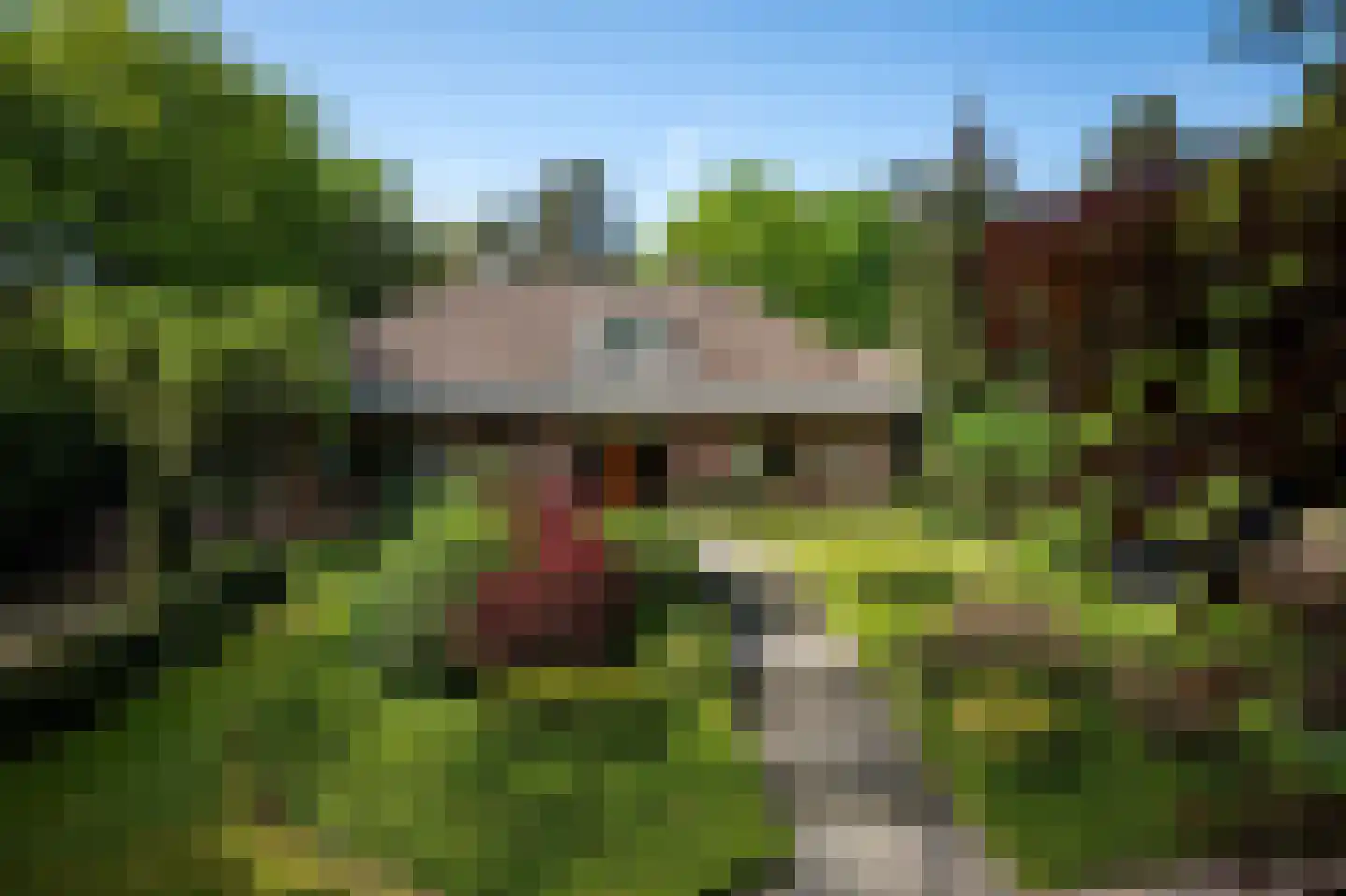 Dr L E van Hoornlaan 16 Garderen thumbnail 5
