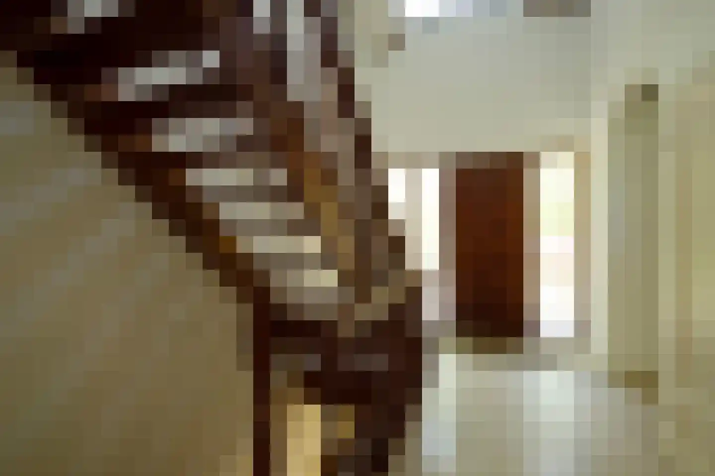 Dr L E van Hoornlaan 16 Garderen thumbnail 6