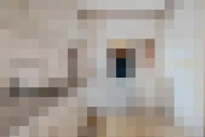 Dr. L.J.F. Janssenstraat 30 Emmen thumbnail 6