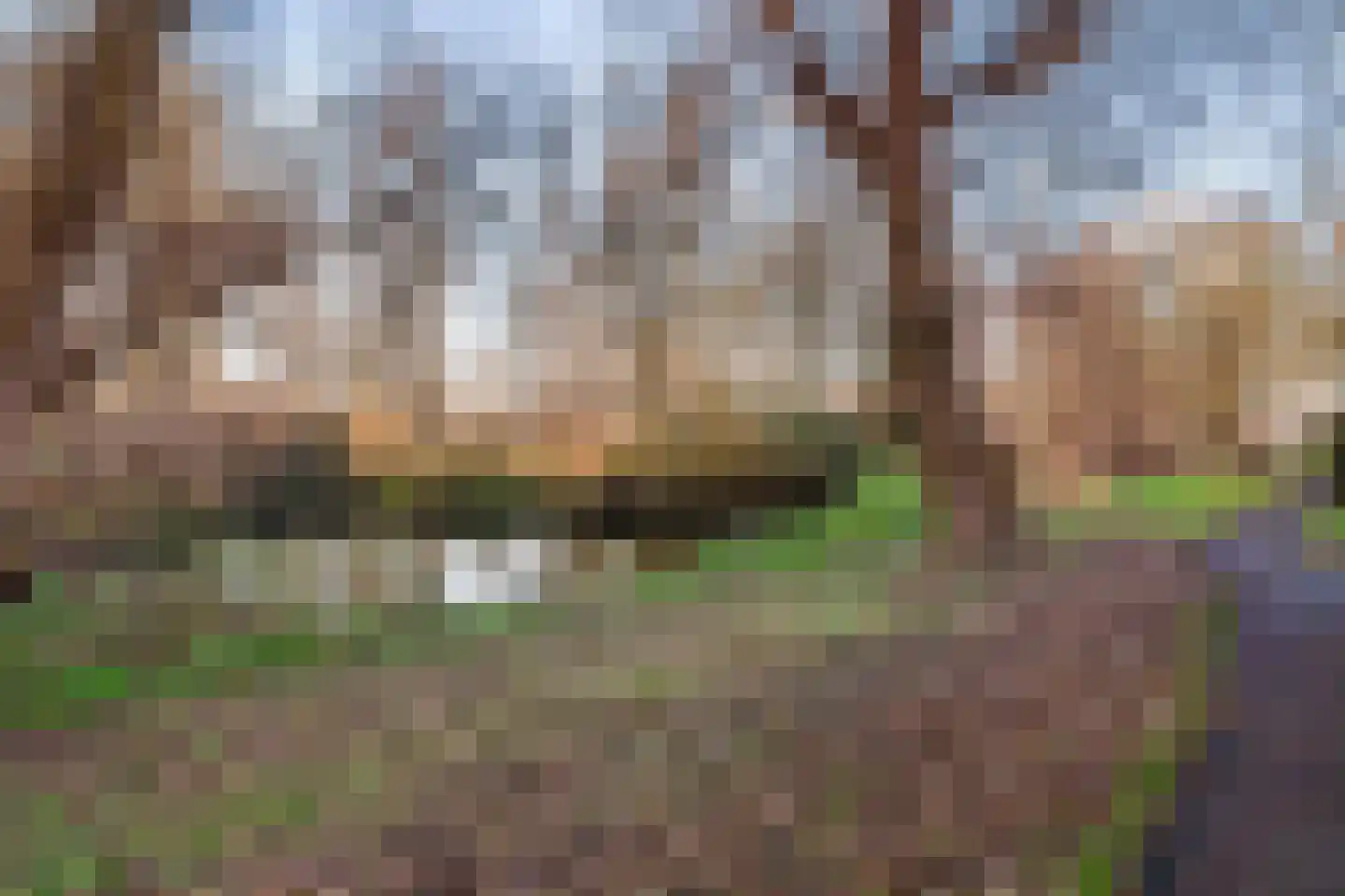 Dr. L.J. Rogierstraat 39 Den Haag thumbnail 32