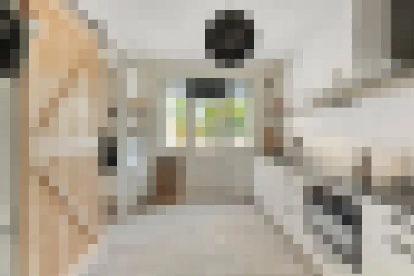 Dr. L.J. Rogierstraat 62 Den Haag thumbnail 12