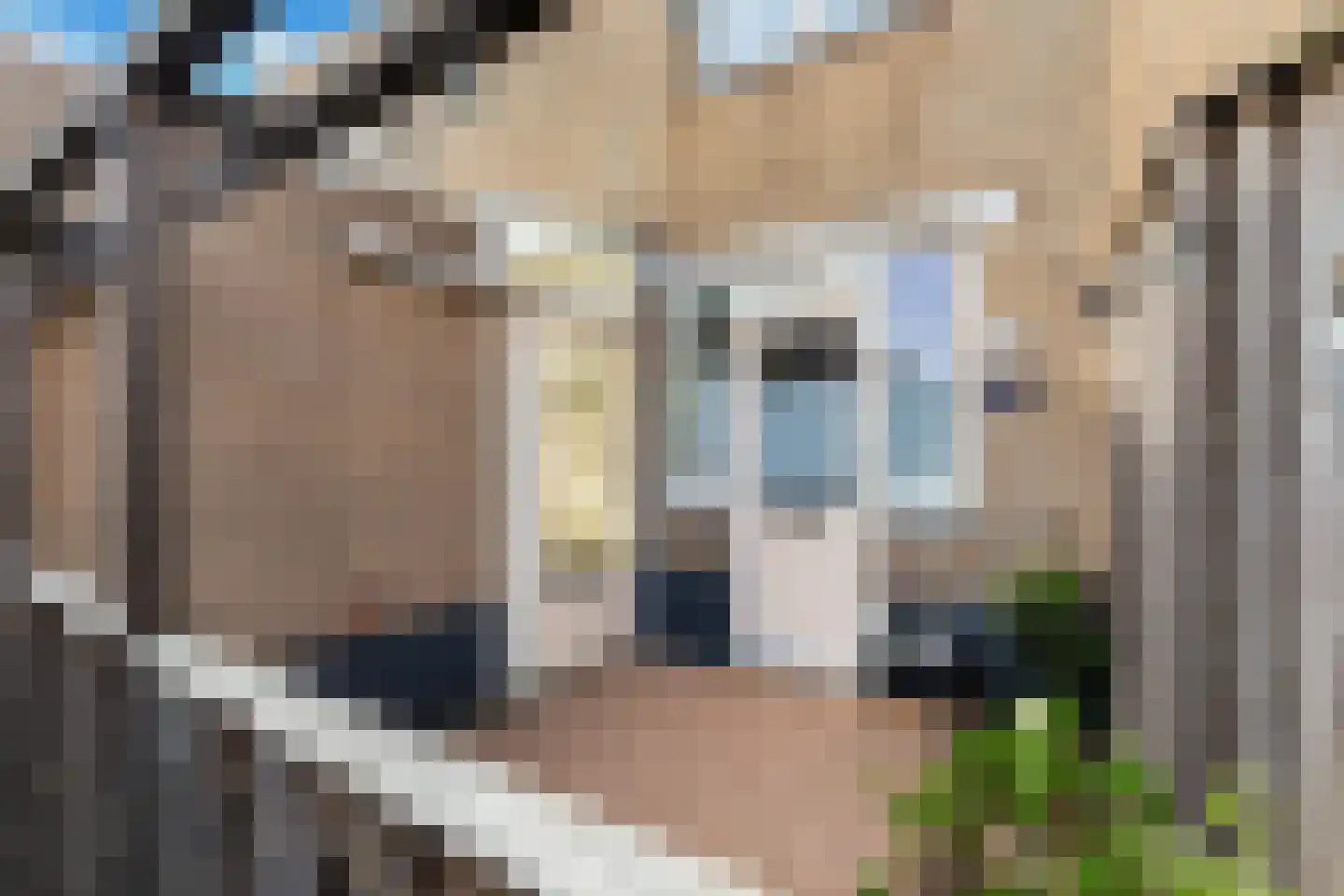 Dr. L.J. Rogierstraat 65 Den Haag thumbnail 5