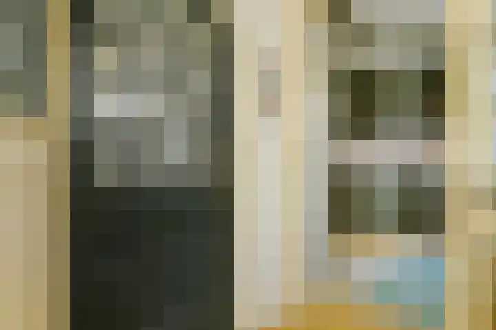 Dr. L.J. Rogierstraat 68 Den Haag thumbnail 7