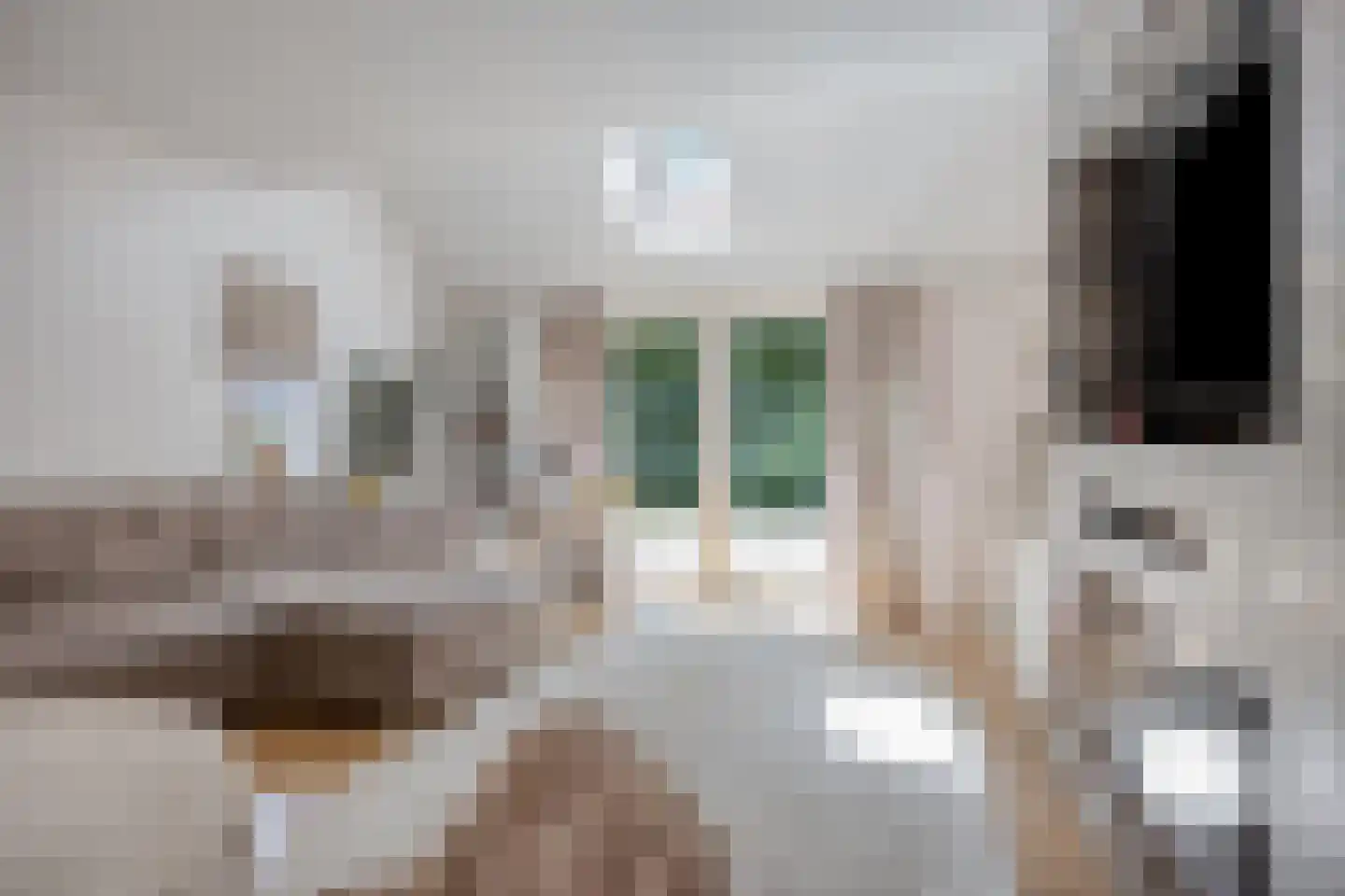 Dr. L.J. Rogierstraat 98 Den Haag thumbnail 12