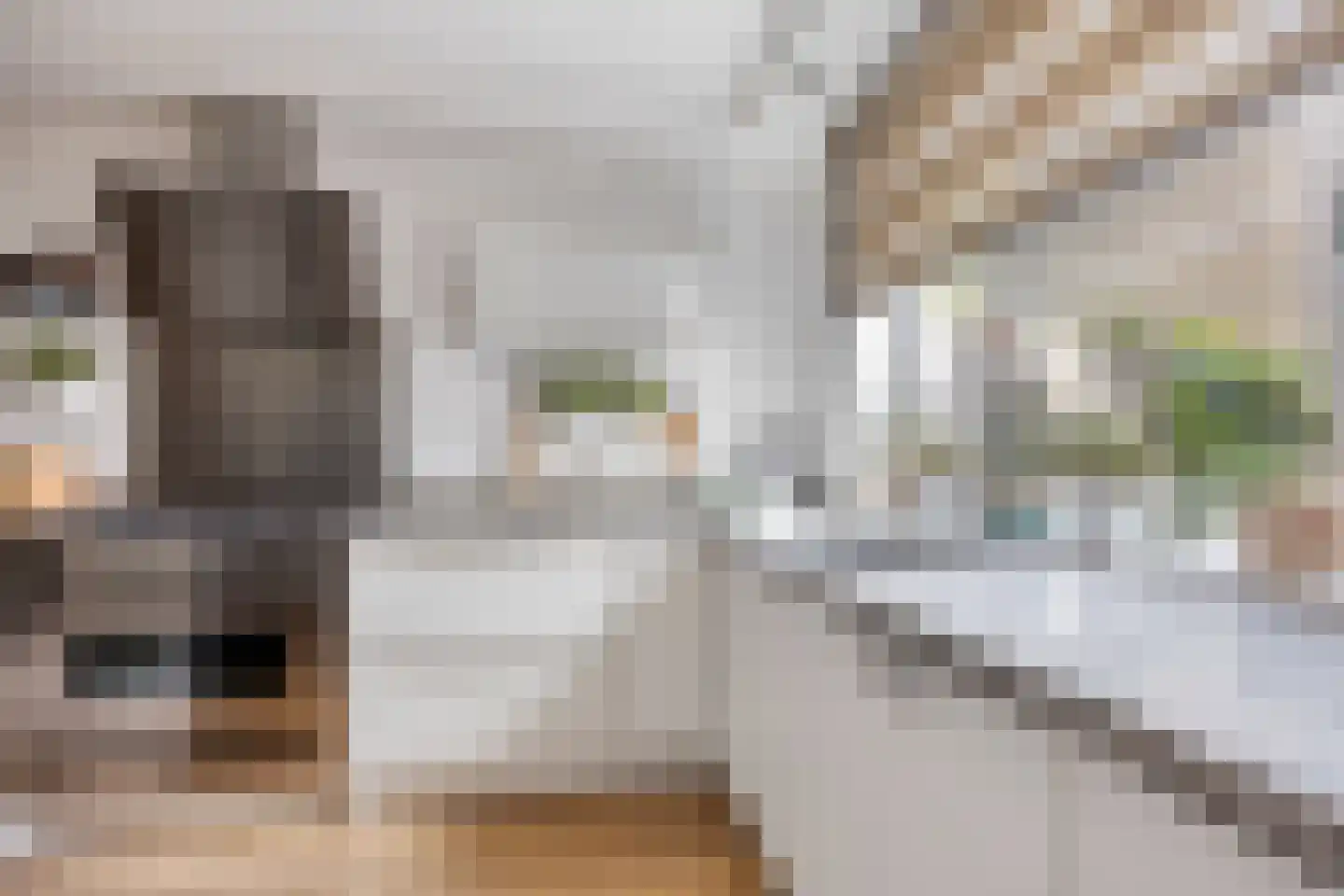 Dr. L.J. Rogierstraat 98 Den Haag thumbnail 15