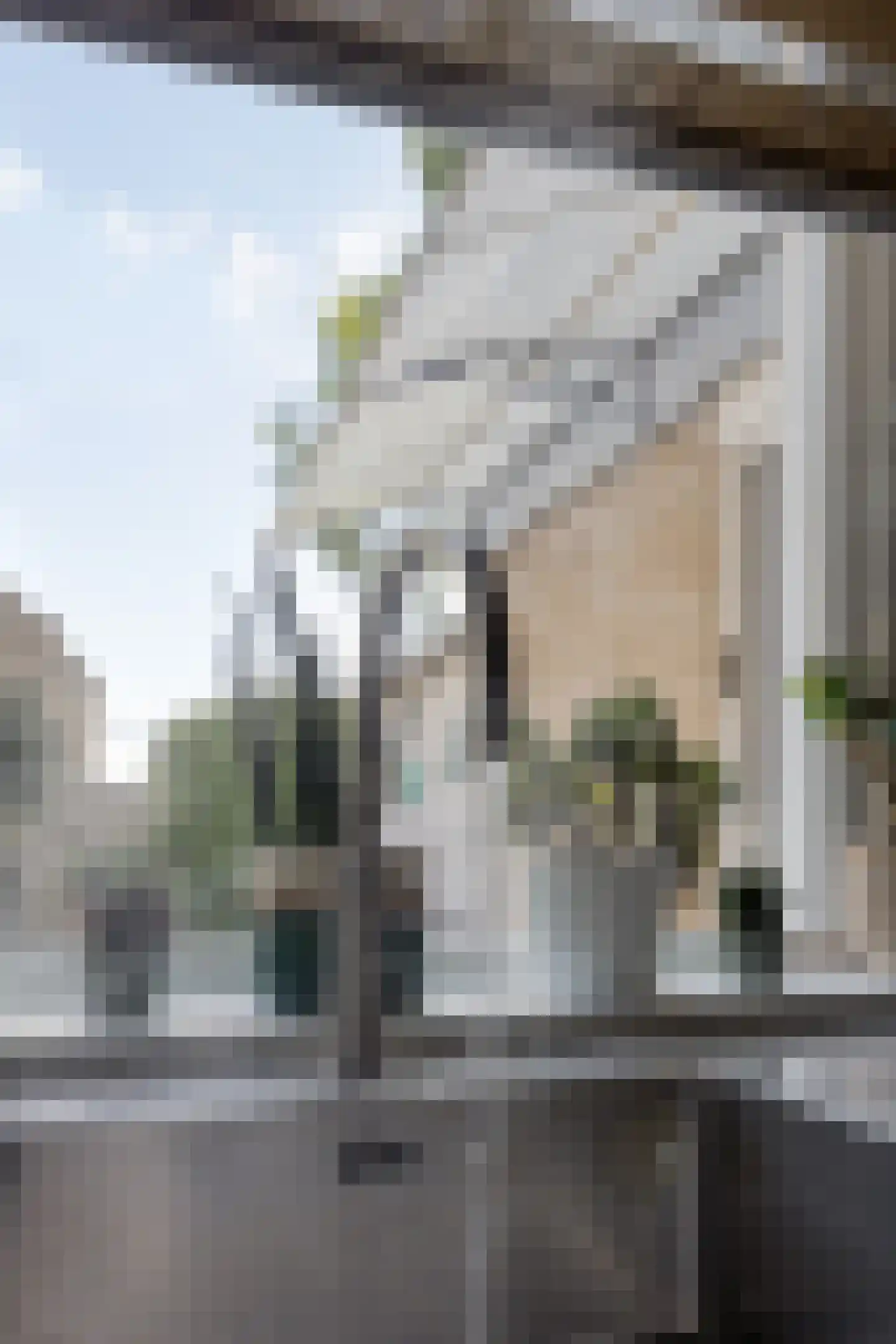 Dr. L.J. Rogierstraat 98 Den Haag thumbnail 18