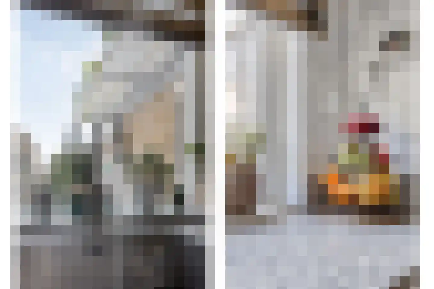Dr. L.J. Rogierstraat 98 Den Haag thumbnail 5