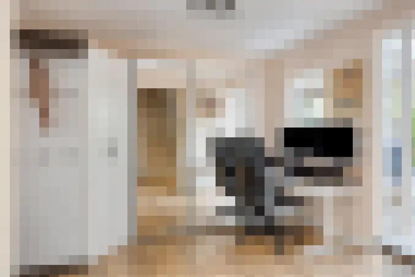 Dr. L.J. Rogierstraat 98 Den Haag thumbnail 9