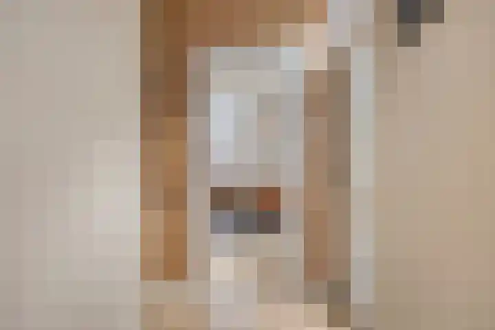 Dr. Langemeijerweg 11 Rheden thumbnail 10