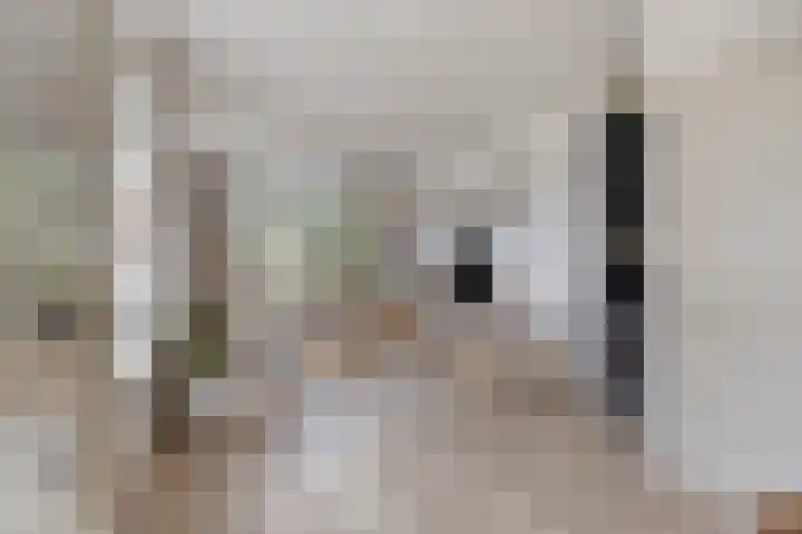 Dr. Langemeijerweg 11 Rheden thumbnail 11