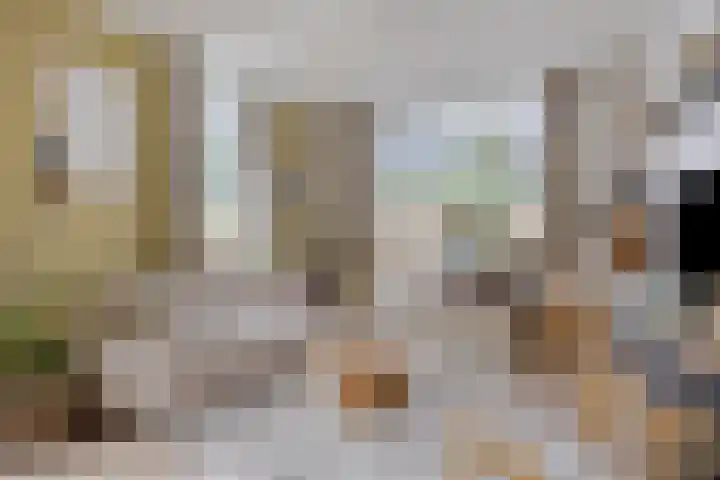 Dr. Langemeijerweg 11 Rheden thumbnail 12