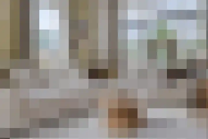 Dr. Langemeijerweg 11 Rheden thumbnail 15