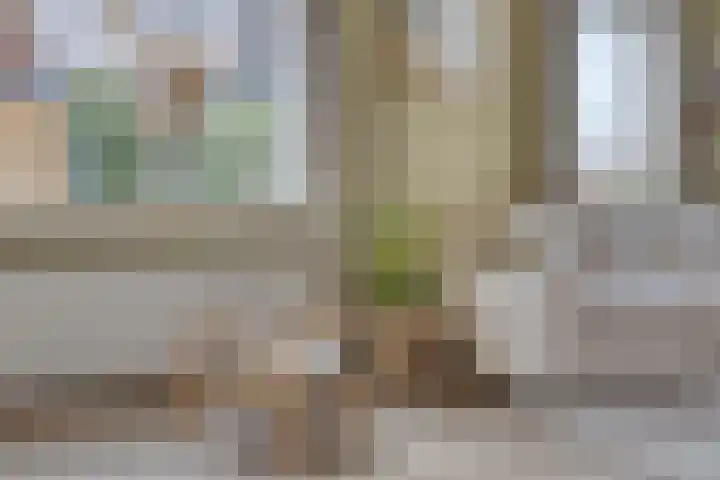 Dr. Langemeijerweg 11 Rheden thumbnail 16