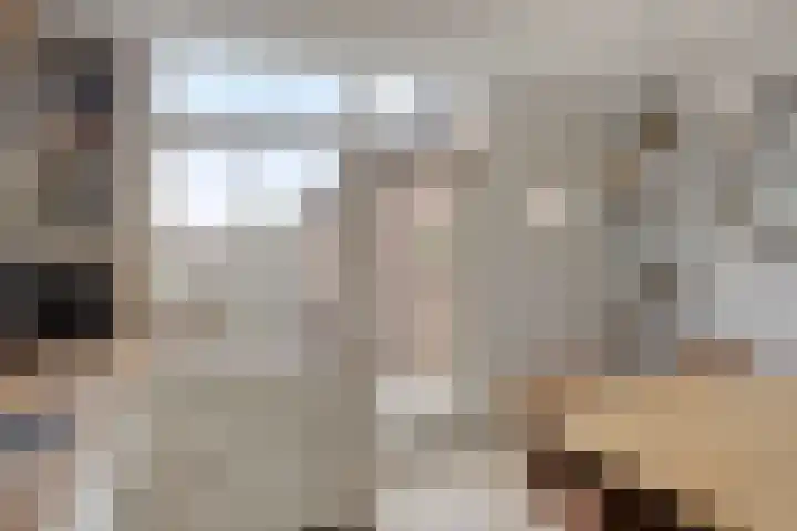 Dr. Langemeijerweg 11 Rheden thumbnail 18