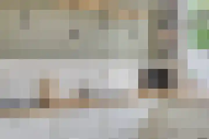 Dr. Langemeijerweg 11 Rheden thumbnail 22